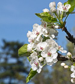 15 4-May-13 11-56-37 7100 005